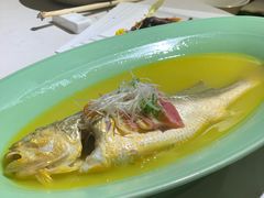 清蒸大黄鱼-荟廷·晶萃(陆家嘴尚悦湾店)