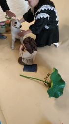 -咔咔儿童摄影馆