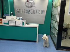 -博特宠物医院24h犬猫全科.骨科·异宠