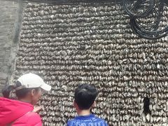 -小洲村