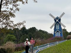 -铁山坪森林公园