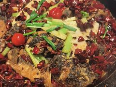 -老板恋上鱼(恒隆广场店)