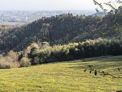 -敬亭山风景名胜区