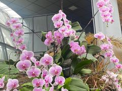 -郑州植物园