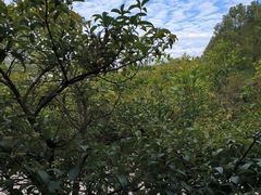 -故乡缘·香格里拉山庄(冷竹路店)