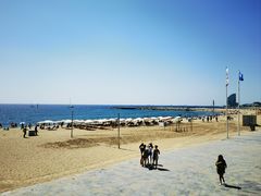-小巴塞罗那海滩