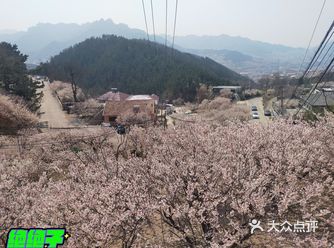 优美乡村里的农家宴，还有漂亮的樱花