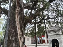 -黄帝陵