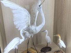 -中国湿地博物馆