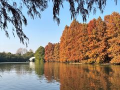 -上海海湾国家森林公园