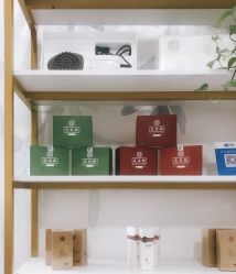 -苗塑堂减肥·艾灸