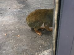 -西安秦岭野生动物园