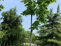 -北京工业大学-羽毛球馆