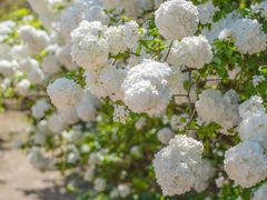 -重元寺香积厨素斋馆