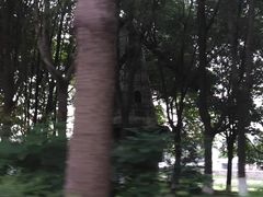 -成都南湖公园