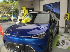-上海浦东smart汽车全功能店(金桥店)