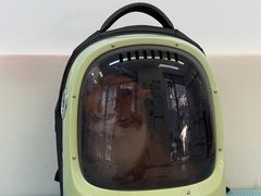 -爱妮康宠物医院·干细胞免疫细胞·肿瘤·心脏(张江店)