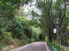 -金鸡山公园