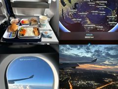 -谢列梅捷沃国际机场