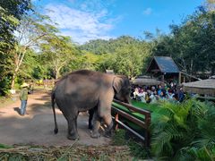 -野象谷景区