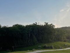 -羊山湖公园
