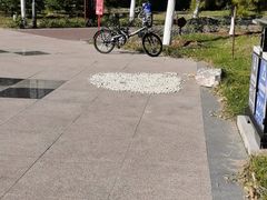 -中粮丰通（北京)食品有限公司