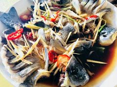 -煲来饱去冷水鱼