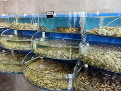 -蓝珊甄选海鲜自助·火锅大排档(近阿那亚店)