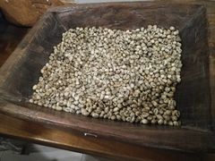 -巴厘岛黄金金兔咖啡工厂