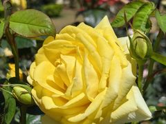 -人民公园(罗湖区)