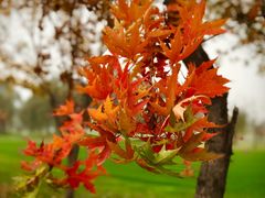 -东方双鹰高尔夫俱乐部-西北1门地上停车场