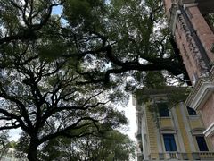 -广东胜利宾馆西关粤中餐厅