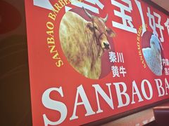 -叁宝烤肉·西安烧烤(东三爻店)