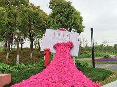 -春花秋色城市公园