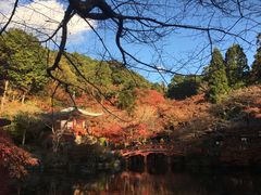 -醍醐寺