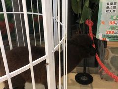 -天河城购物中心