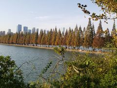 -食膳公园包子铺(烈士公园店)