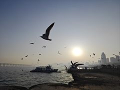 -星海广场