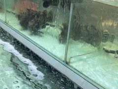 -盒马鲜生(新都心店)
