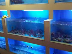 android_upload_pic-傻记乳鸽王海鲜餐厅