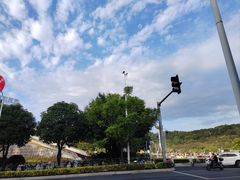 -飞凤山奥体公园