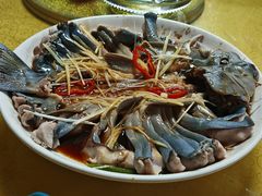 -煲来饱去冷水鱼