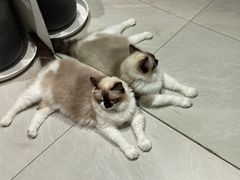 -seeu coffee(江滩店)