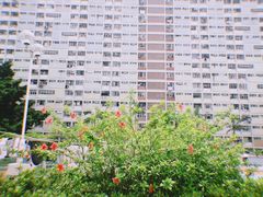 -彩虹村