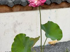 -伴山茶苑·围炉煮茶