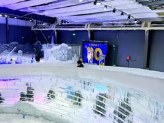 -宁波冰雪大世界(北仑区)