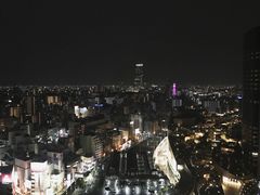 -大国药妆(NEW心斎橋店)