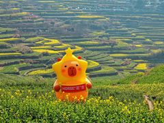 -晋情·游子轩(梅花路店)