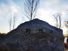 -野鸭湖国家湿地公园