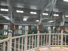 -南宫五洲植物乐园